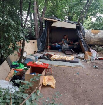 Adăpost improvizat, insalubru, desființat de polițiștii locali din Sectorul 6