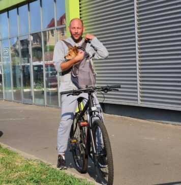 Sterilizare și microcipare gratuită pentru câinii de rasă comună, oferită de ASPA București