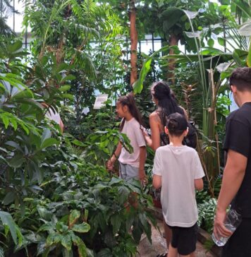 O zi de vară printre povești și flori pentru copiii din centrele DGASPC Sector 5