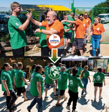 Animal Society și Fundația Adăpostul Speranța fuzionează: un nou început sub un singur nume și o misiune comună