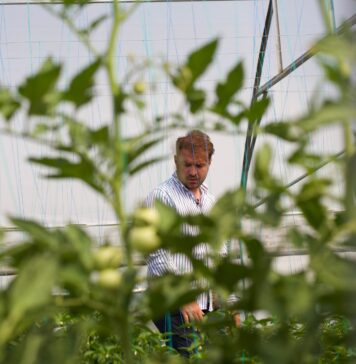 Carrefour România lansează prima cooperativă bio parte din programul Grădina Noastră