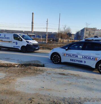 Intervenție salvatoare în Sectorul 3: pisici malnutrite descoperite într-un apartament