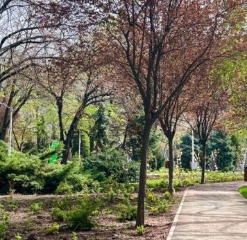 Sector 3: ‘Stagiunea Muzicală Estivală’ – de vineri, în Parcul Alexandru Ioan Cuza, sub genericul ‘Trăiește muzica!’