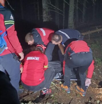 Tragedie la Concursul de Alergare Montană „Bucovina Ultra Rocks”: un participant a murit după ce a fost lovit de un copac doborât de furtună
