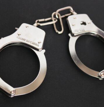 Tentativă de viol în Parcul Văcărești: Agresorul, reținut de polițiști / Bărbatul fusese eliberat din închisoare în luna mai