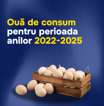 Republica Moldova își acoperă în totalitate consumul intern de ouă și are o creștere record a exporturilor către UE
