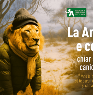 Muzeul „Grigore Antipa”, refugiu pentru bucurești și turiști/ Intrare gratuită în sera cu fluturi exotici vii