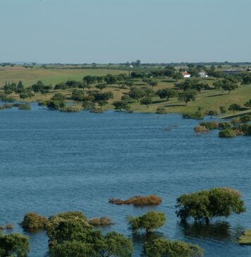 Avertizare METEO: Cod Galben de viituri și inundații locale în Ilfov și alte cinci județe