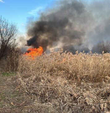 Incendiu violent, lângă București. Un depozit din Buftea, în flăcări – pompierii intervin cu 12 autospeciale. Zona, împânzită de un fum negru și gros