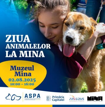 Târg de adopții organizat de ASPA, sâmbătă, la Museum of Immersive New Art