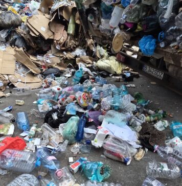 FOTO/ Robert Negoiță, apel la cetățeni: „Pubelele pentru sticlă sunt pline cu deșeuri nepotrivite. Urmează controale și amenzi!”