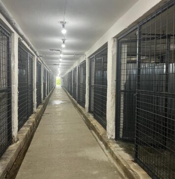 ASPA a finalizat lucrările la un padoc de la adăpostul din Bragadiru