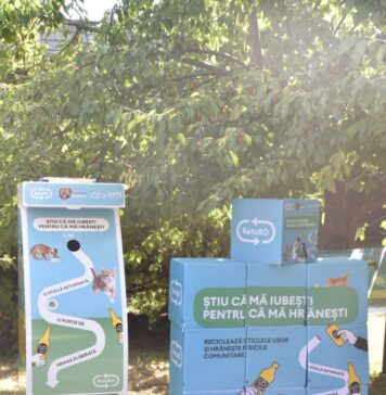 Automate cu hrană și apă pentru pisici – amplasate la Muzeul Satului