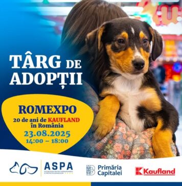 ASPA: Următorul târg de adopții, sâmbătă, 23 august, în cadrul evenimentului „20 de ani de Kaufland în România”
