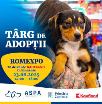 Târg de adopții ASPA, pe 23 august, la Romexpo