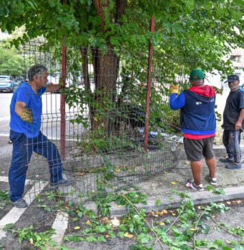 Primăria Sectorului 6: Recuperăm spațiul public ocupat abuziv și îl redăm comunității!