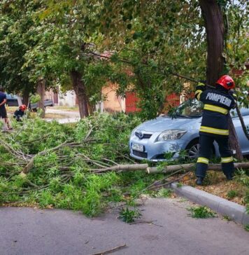 IGSU: 150 de apeluri la 112 în regiunea București-Ilfov, în urma furtunii