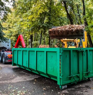 Primăria Capitalei s-a apucat de curățenie în Parcul Herăstrău