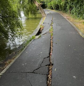 Lucian Judele: Lucrările de consolidare a aleilor din Parcul Regele Mihai I încep joi