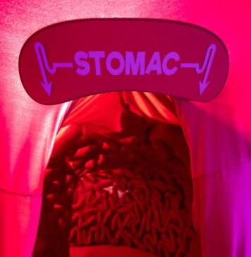 Două expoziții captivante, deschise la Muzeul Copiilor