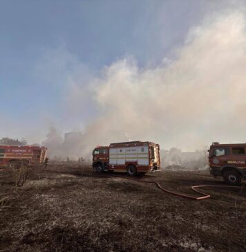 Incendiu de vegetație pe strada Piscul Crasani. Populația a fost avertizată prin sistemul Ro-Alert / FOTO