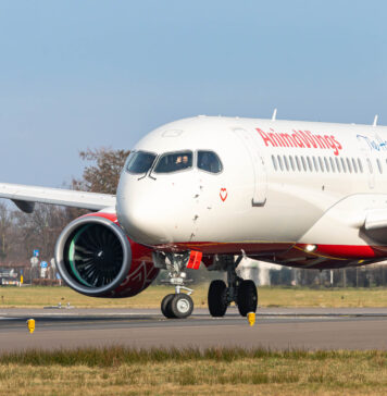 Zboruri AnimaWings către Istanbul, de pe cinci aeroporturi din România