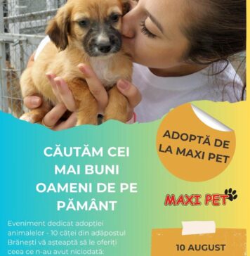 Târg de adopții la Maxi Pet: Zece căței din adăpostul Brănești își caută familii iubitoare