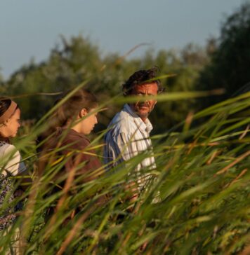 Astăzi începe Cinema în aer liber, pe Insula Artelor din Parcul Titan – programul primei săptămâni