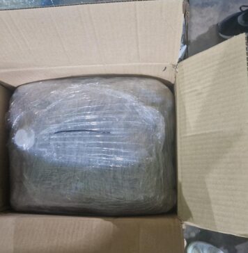 Patru tineri din Capitală, prinși de DIICOT cu 24 de kilograme de canabis