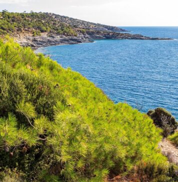 Un român a murit în timp ce se afla în vacanță în Thassos