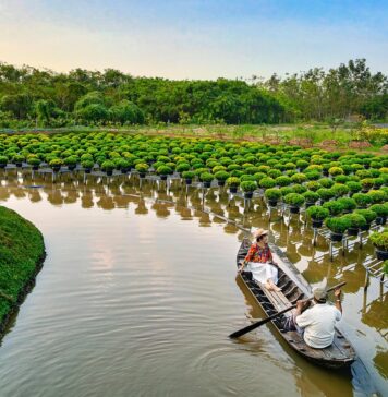 Vizite fără viză în Vietnam pentru cetățenii din 12 țări europene, inclusiv România