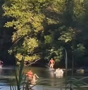 George Simion: „Ar trebui expulzați acești indivizi? DA/NU”