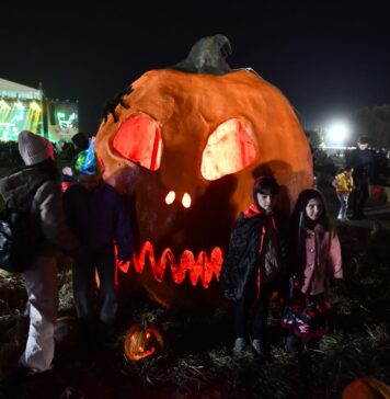 35.000 de bilete și abonamente se pun în vânzare pentru West Side Hallo Fest