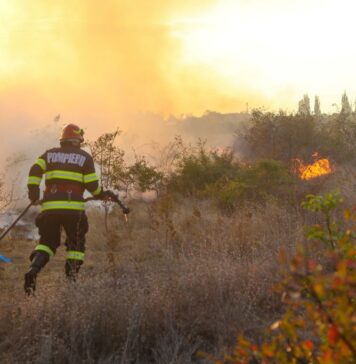 Bărbat de 63 de ani, arestat după ce a incendiat un teren la marginea Bucureştiului