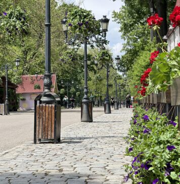 Vești proaste pentru bucureșteni: amenzile pentru distrugerea spațiilor verzi ar putea crește de până la 50 de ori