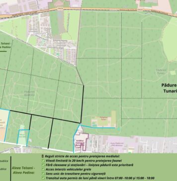 Federația Greenfield Băneasa: Intervale orare de acces pe drumul Consolight – Padina pentru a proteja pădurea și siguranța locuitorilor