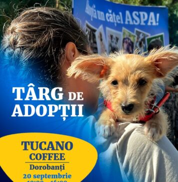 Târg de adopții ASPA: 15 căței își caută familii la un eveniment în Dorobanți