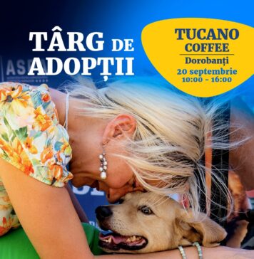 15 căței din adăposturile ASPA așteaptă să fie adoptați, la Tucano Coffee Romania – Dorobanți