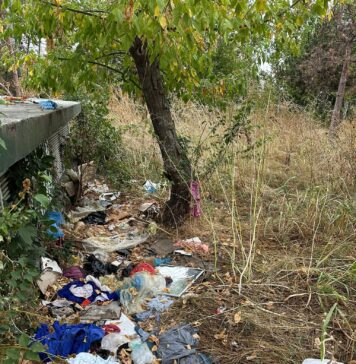 O tonă de gunoi, strânsă în doar 3 ore din Parcul Grozăvești