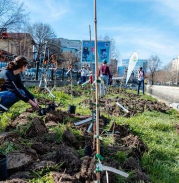 ALPAB invită bucureștenii la plantat de copaci și flori