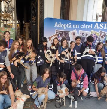 ASPA: 8 căței, adoptați sâmbătă la târgul organizat la Tucano Coffee Romania – Dorobanți