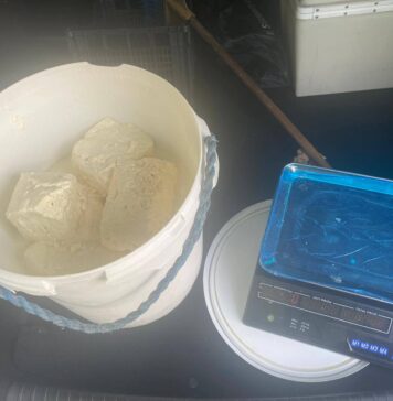 Primăria Sectorului 6 avertizează: nu cumpărați produse perisabile vândute pe asfalt!