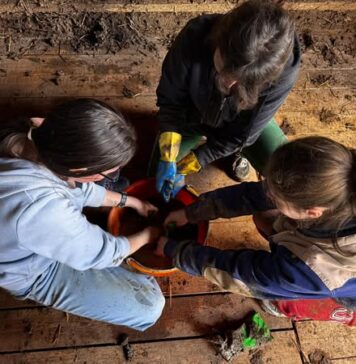 CJ Ilfov: Astăzi, Casa Tradițională renaște prin zâmbetele copiilor, prin bucurie, joc și tradiție în Parcul Florilor din orașul Buftea