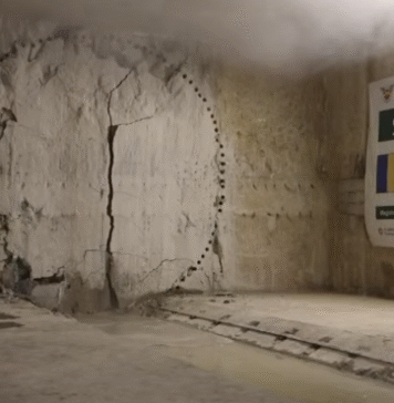 Metroul spre Otopeni: Cârtița Sfânta Ana a străpuns pereții stației de metrou Aeroport Băneasa – VIDEO