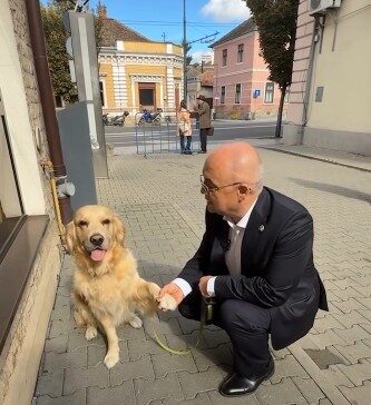 Animalele de companie au acces și ”sunt binevenite” în Primăria Cluj-Napoca