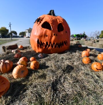 Marile atracții de la West Side Hallo Fest: 20.000 de dovleci, „invazie” de zombi, un autobuz bântuit, un cimitir haios