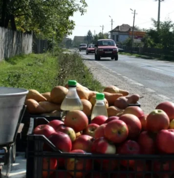 „Țăranii vor raporta și borcanele de zacuscă pe care le vând, orice legătură de leuştean, kilogram de ardei sau litru de lapte, pentru că aşa vrea PSD”, spune deputaul AUR Călin Matieş