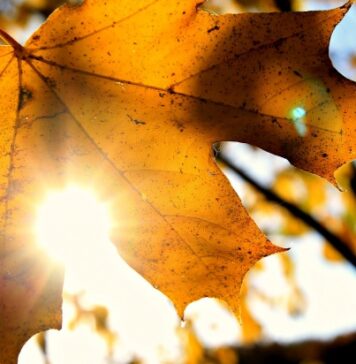 Vremea va fi mai răcoroasă în București, în zilele de joi și vineri