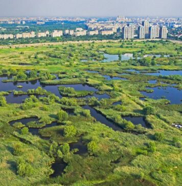 Apa de ploaie va fi refolosită pentru refacerea zonelor umede din Parcul Natural Văcărești și Parcul Lumea Copiilor