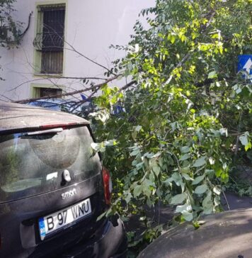 Ce opțiuni au bucureștenii care s-au trezit cu mașinile distruse de furtună